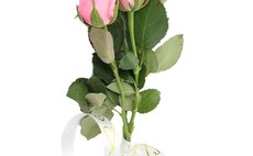 Букет из 3 роз  фото