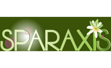 спа салон в новороссийске