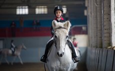 Урок верховой езды фото