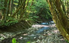 Квадроциклы в Джубге фото