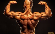 Тренировка с чемпионом фото