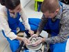 необычное свидание в гончарной мастерской краснодар необычное свидание в гончарной мастерской краснодар